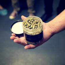 Hops used for brewing
